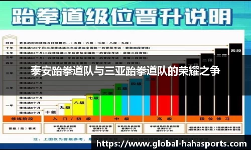 泰安跆拳道队与三亚跆拳道队的荣耀之争